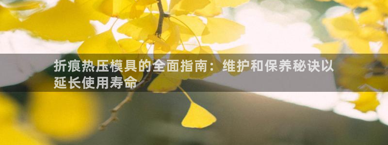 易倍单词app：折痕热压模具的全面指南：维护和保养秘诀以