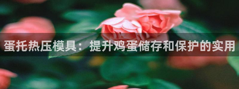 emc易倍登录：蛋托热压模具：提升鸡蛋储存和保护的实用