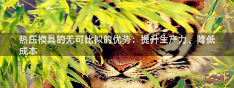 易倍纤价格：热压模具的无可比拟的优势：提升生产力、降低
