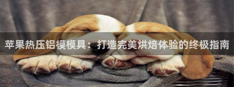 emc测试频率范围：苹果热压铝模模具：打造完美烘焙体验的