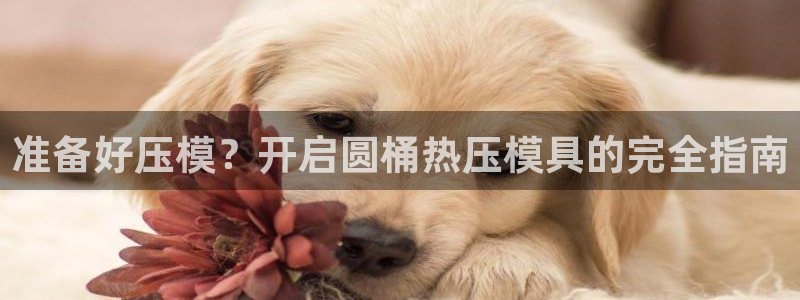 易倍单词官方网站：准备好压模？开启圆桶热压模具的完全指南