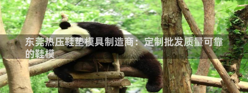 emc易倍全站：东莞热压鞋垫模具制造商：定制批发质量可靠