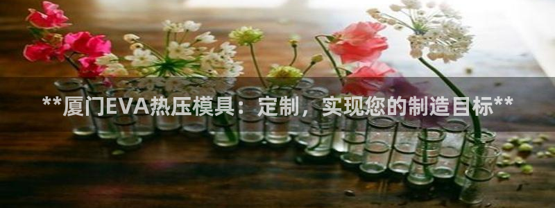 emc低频：**厦门EVA热压模具：定制，实现您的制造目