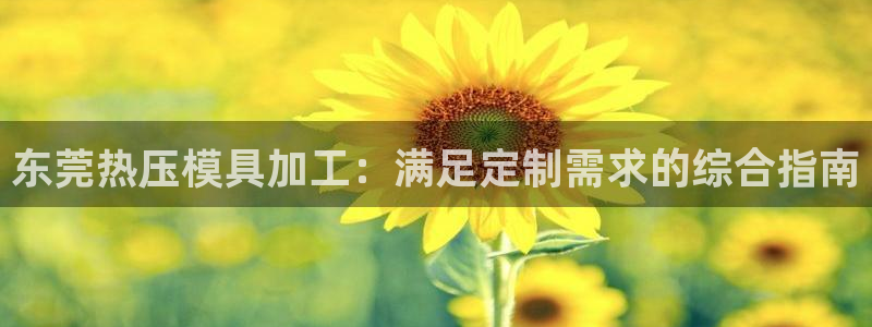 emc32软件：东莞热压模具加工：满足定制需求的综合指南