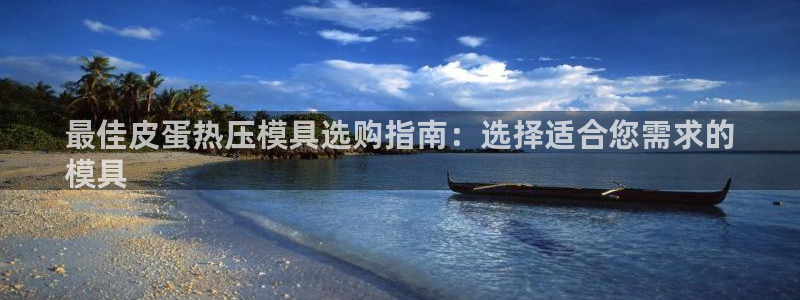 易倍纤使用方法：最佳皮蛋热压模具选购指南：选择适合您需求