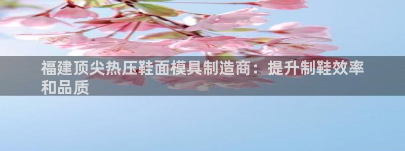 emc易倍官网app下载：福建顶尖热压鞋面模具制造商：提