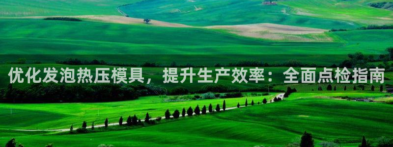 易倍单词app下载：优化发泡热压模具，提升生产效率：全面