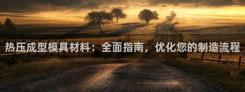 易倍全站：热压成型模具材料：全面指南，优化您的制造流程