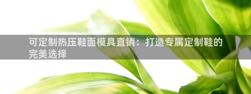 emcapp下载普通下载：可定制热压鞋面模具直销：打造专