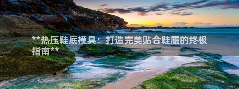 Emc易赔体育：**热压鞋底模具：打造完美贴合鞋履的终极