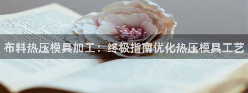 易倍纤酵素效果好吗：布料热压模具加工：终极指南优化热压模