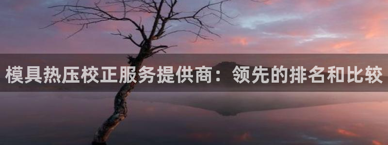 易倍单词如何下载：模具热压校正服务提供商：领先的排名和比
