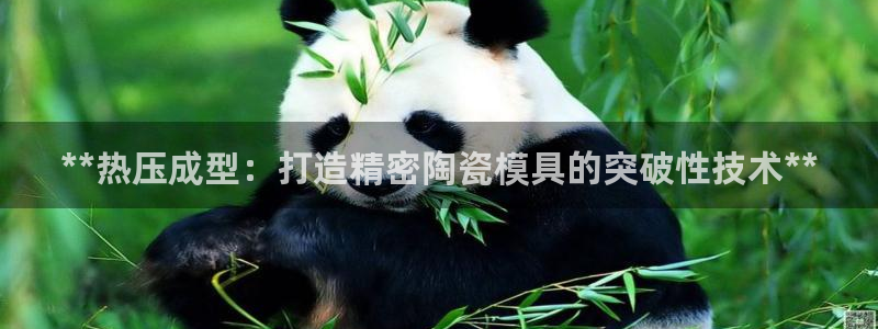 北京易倍思教育科技有限公司：**热压成型：打造精密陶瓷模