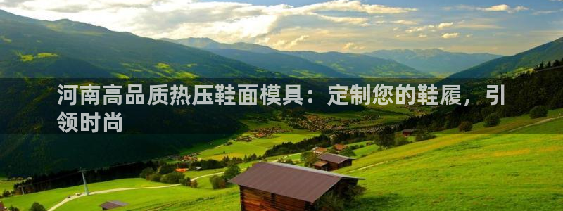 emc服务器是干啥的：河南高品质热压鞋面模具：定制您的鞋