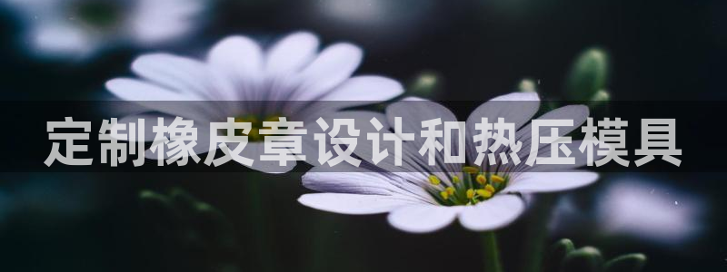 易倍纤谷物粉效果好吗：定制橡皮章设计和热压模具