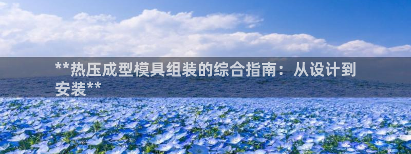 易倍思机电制造(上海)有限公司：**热压成型模具组装的综