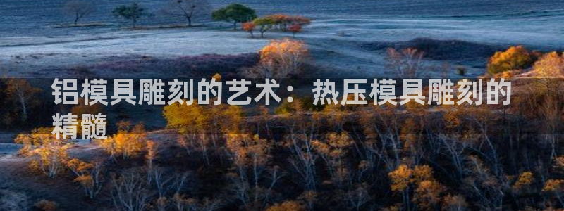 易倍纤谷物粉效果好吗：铝模具雕刻的艺术：热压模具雕刻的
