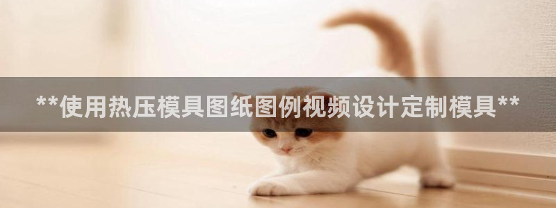 emc易倍穆里尼奥：**使用热压模具图纸图例视频设计定制