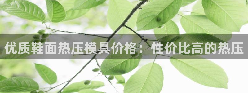 易倍思教育：优质鞋面热压模具价格：性价比高的热压