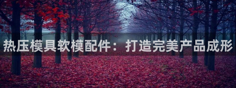 易倍下载：热压模具软模配件：打造完美产品成形