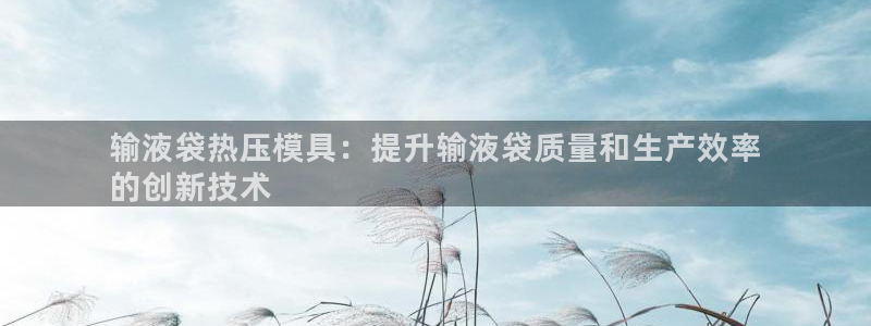 emc易倍app官网下载：输液袋热压模具：提升输液袋质量