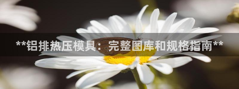 易倍申竞品：**铝排热压模具：完整图库和规格指南**