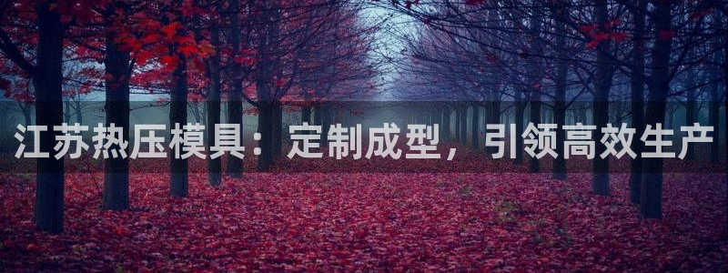 易倍纤奶昔减肥效果怎么样：江苏热压模具：定制成型，引领高