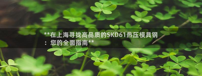 易倍申竞品：**在上海寻找高品质的SKD61热压模具钢
