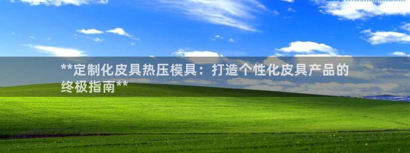 emc易倍平台：**定制化皮具热压模具：打造个性化皮具产