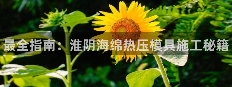 北京易倍思教育怎么样：最全指南：淮阴海绵热压模具施工秘籍