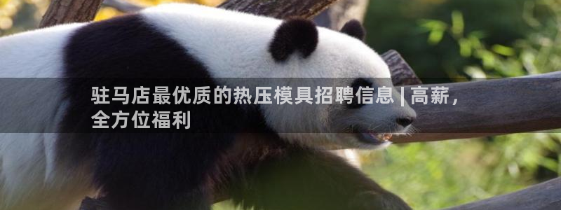 emc易倍全站官网：驻马店最优质的热压模具招聘信息 | 