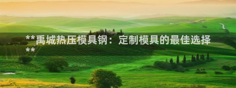 EMC易倍官网招聘：**禹城热压模具钢：定制模具的最佳选