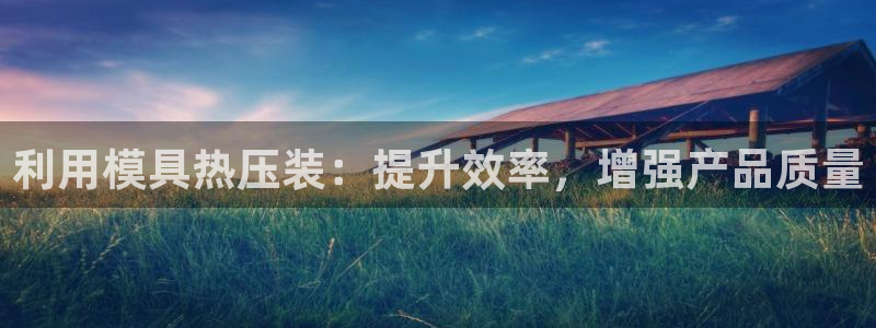 易倍申能长期吃吗：利用模具热压装：提升效率，增强产品质量