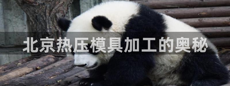 易倍单词官方网站的：北京热压模具加工的奥秘