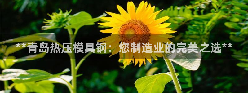 易倍达怎么样：**青岛热压模具钢：您制造业的完美之选**
