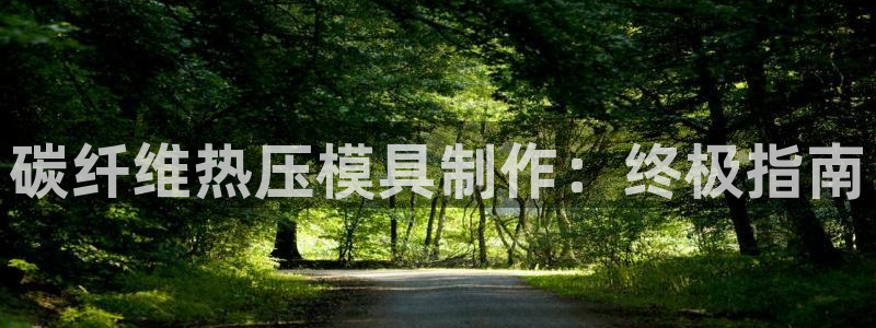 易倍申医保报销：碳纤维热压模具制作：终极指南