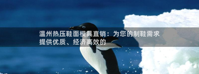 emc倍频只能是奇数倍吗：温州热压鞋面模具直销：为您的制