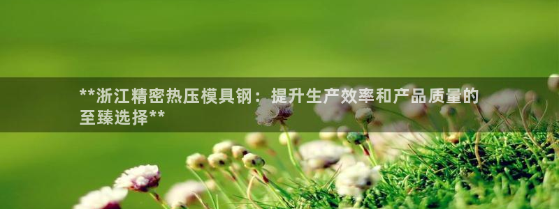 emc易倍怎么样：**浙江精密热压模具钢：提升生产效率和