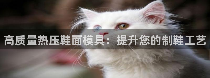 易倍emc网址网页版本登陆：高质量热压鞋面模具：提升您的