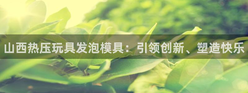 易倍纤酵素效果好吗：山西热压玩具发泡模具：引领创新、塑造