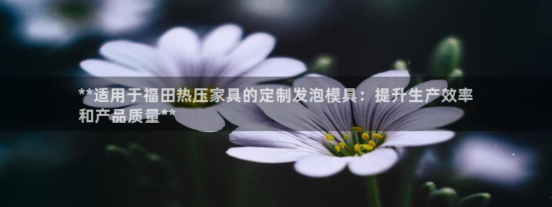 emc倍频干扰：**适用于福田热压家具的定制发泡模具：提
