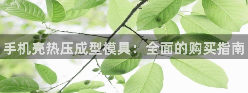 EMC易倍官网招聘：手机壳热压成型模具：全面的购买指南