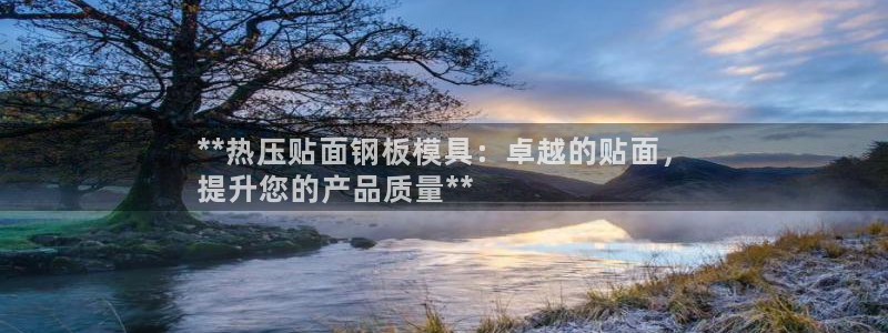 易倍纤使用方法：**热压贴面钢板模具：卓越的贴面，
提升