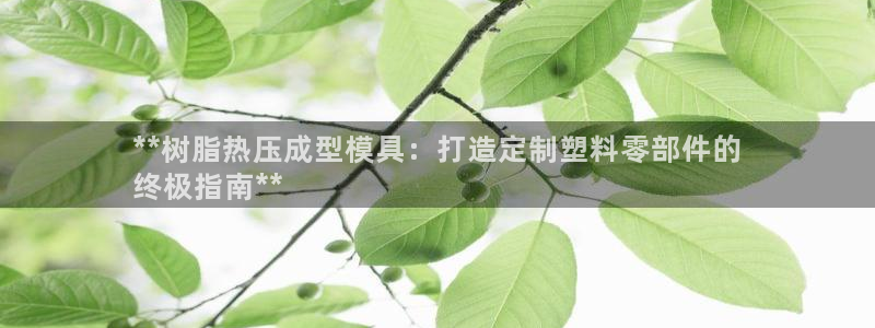 杭州易倍达：**树脂热压成型模具：打造定制塑料零部件的
