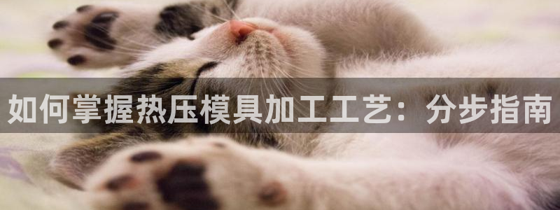 emc低频不过：如何掌握热压模具加工工艺：分步指南