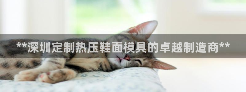 易倍申有用吗：**深圳定制热压鞋面模具的卓越制造商**