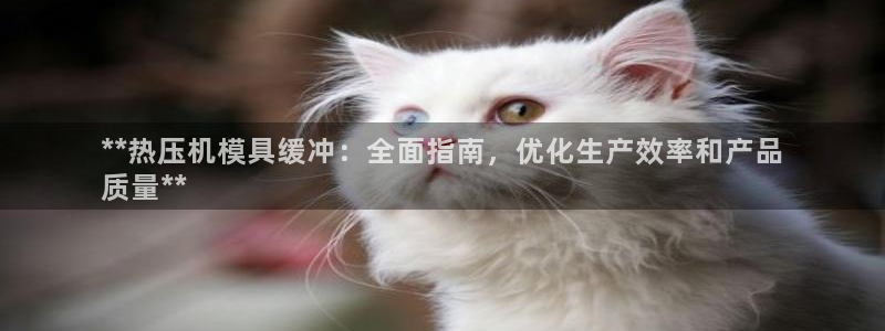 易倍易趣网：**热压机模具缓冲：全面指南，优化生产效率和