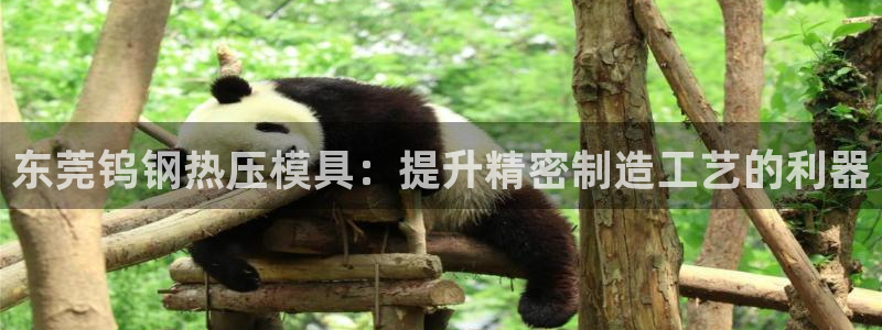 武汉易倍捷科技有限公司：东莞钨钢热压模具：提升精密制造工