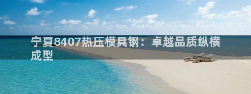 emc易倍app官网下载：宁夏8407热压模具钢：卓越品