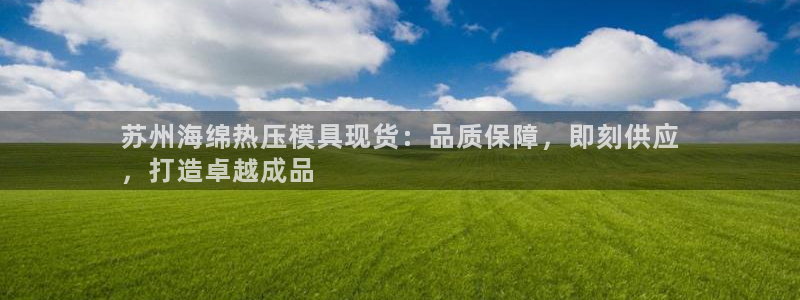 易倍申片能长期服用吗：苏州海绵热压模具现货：品质保障，即